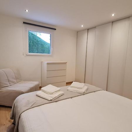 Appartement Independant Dans Maison Pres D'Annecy La Balme-de-Sillingy エクステリア 写真