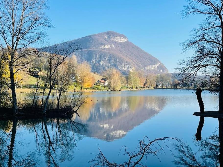 Appartement Independant Dans Maison Pres D'Annecy La Balme-de-Sillingy エクステリア 写真